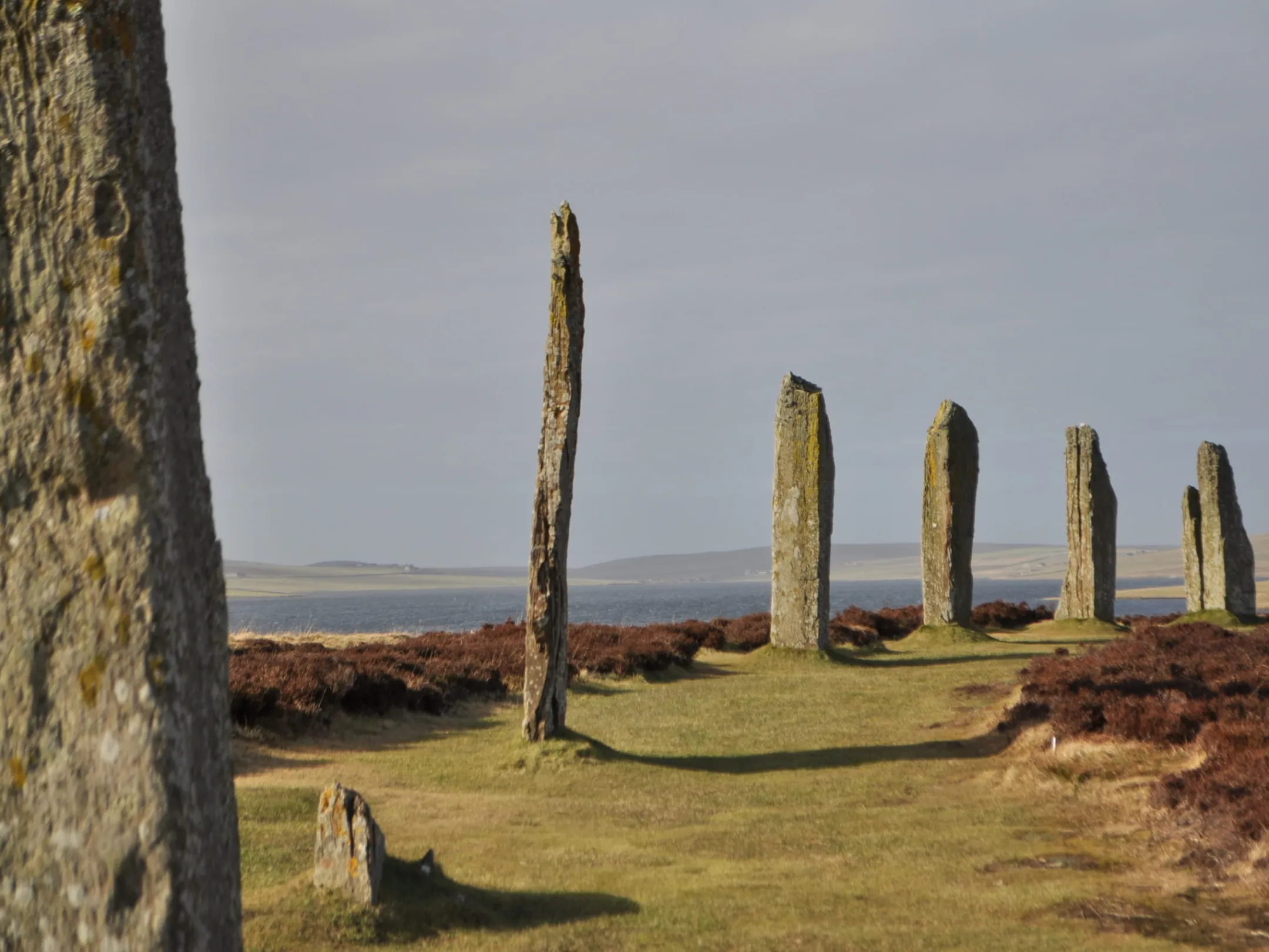 Ring of Brodgar with a grassy field