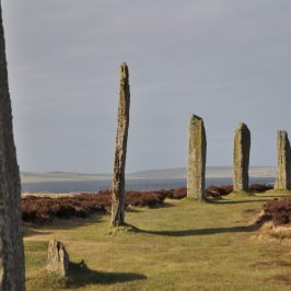 Ring of Brodgar with a grassy field