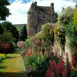 a close up of a flower garden in front of a castle