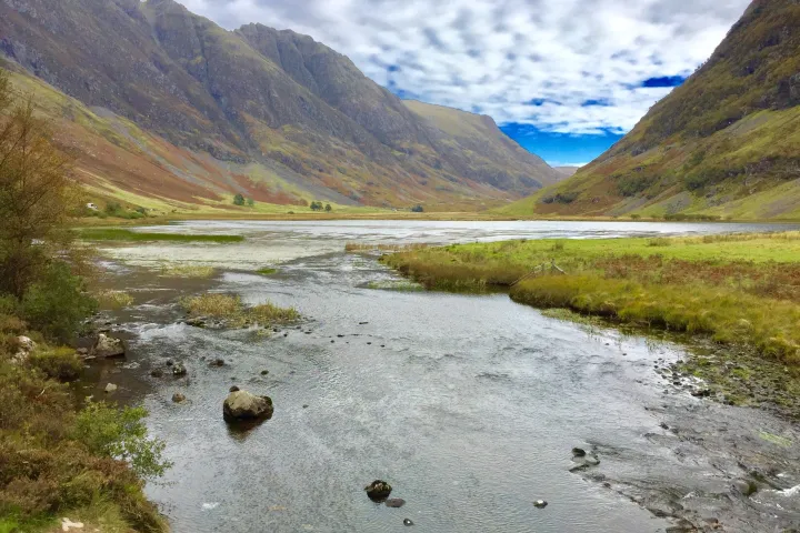 a path with trees on the side of a mountain