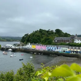Colorful harborfront buildings with boats on a cloudy day, surrounded by hills and greenery.