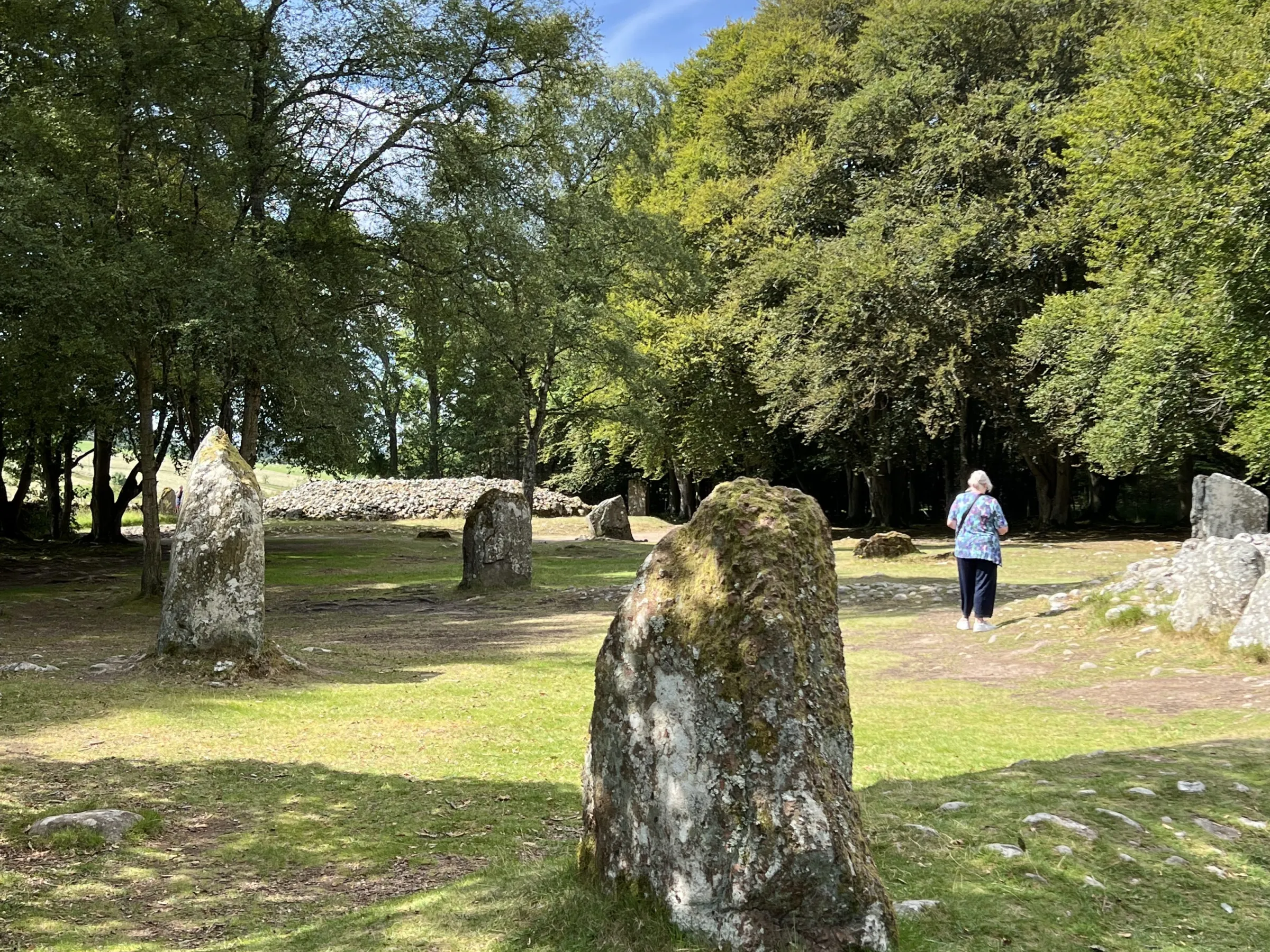 Person standing near ancient stone circle surrounded by trees.
