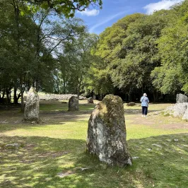 Person standing near ancient stone circle surrounded by trees.