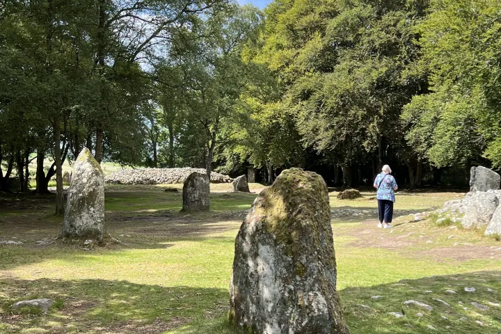 Person standing near ancient stone circle surrounded by trees.