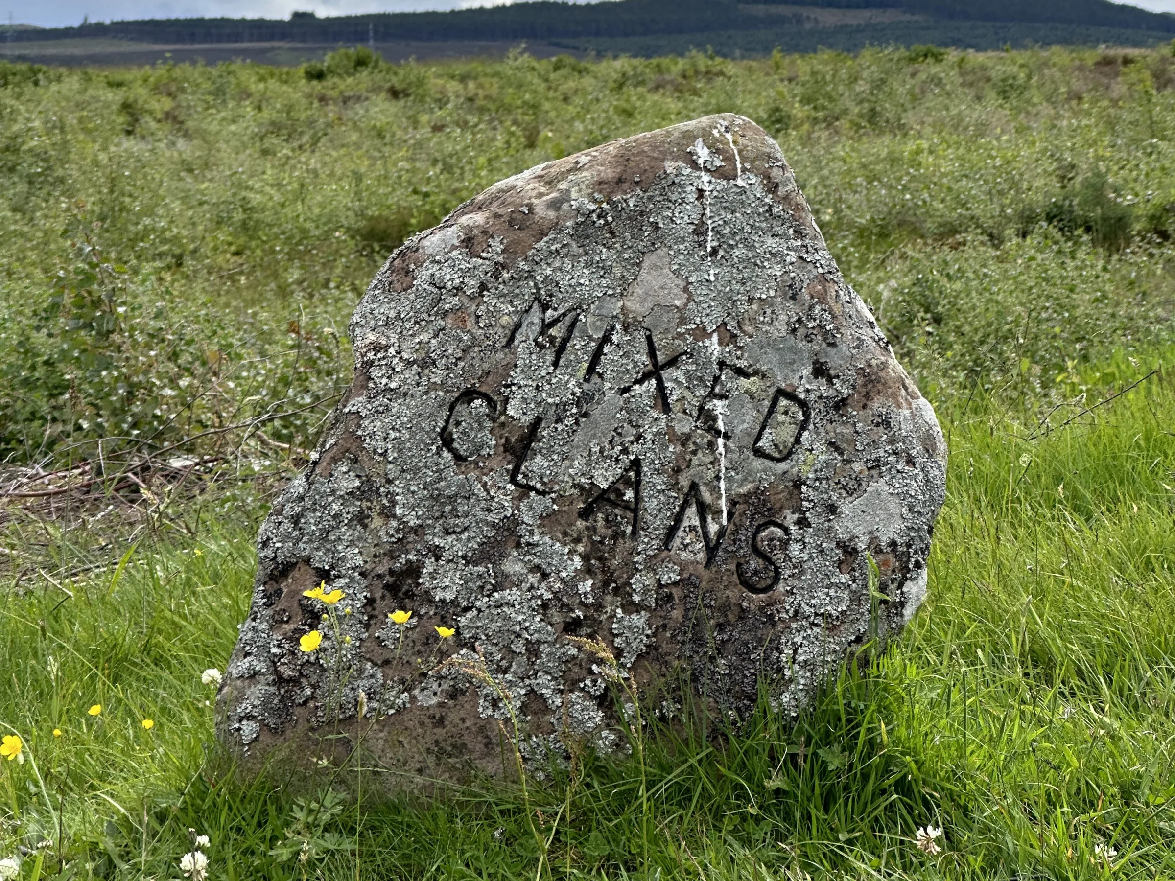 Stone with 'Mixed Clans' text in grassy field under cloudy sky.