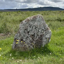 Stone with 'Mixed Clans' text in grassy field under cloudy sky.