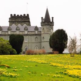 a castle on top of a grass covered field