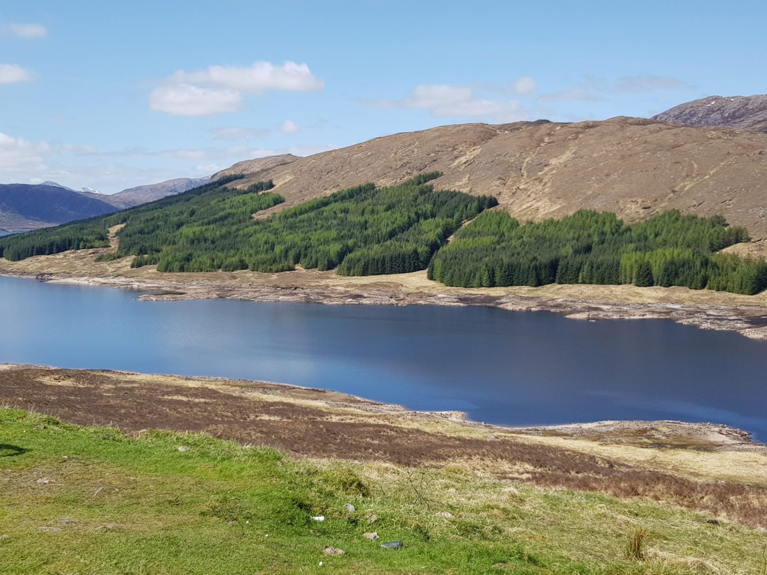 a close up of a hillside next to a body of water