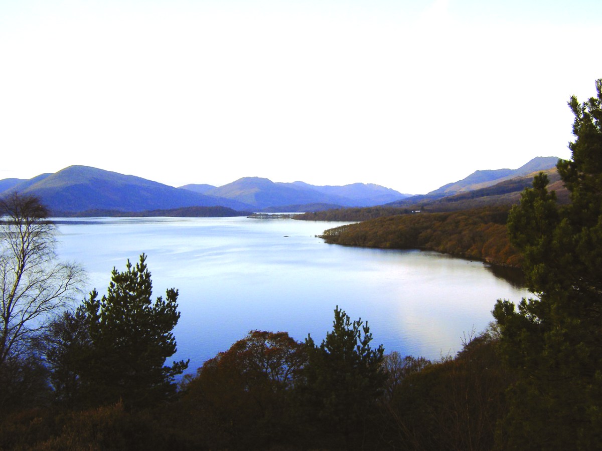 a view of a lake surrounded by trees
