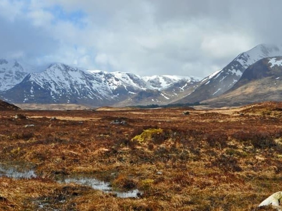 a snow covered field with a mountain in the background