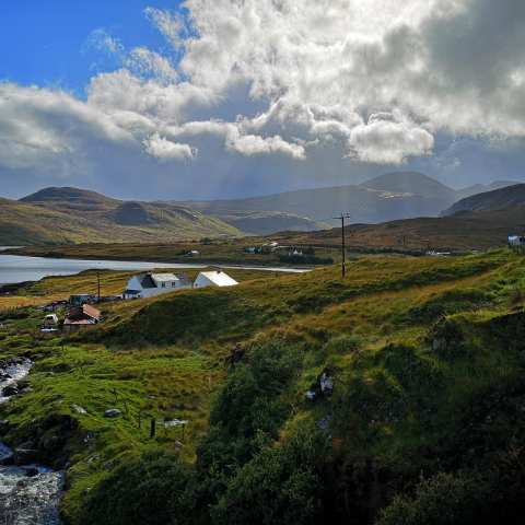 a close up of a hillside next to a body of water