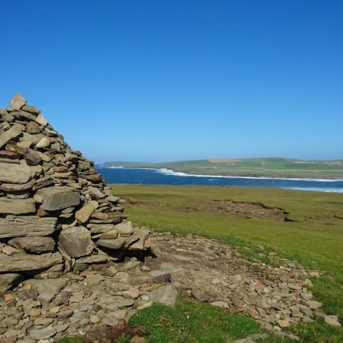 a rocky island in the middle of a field