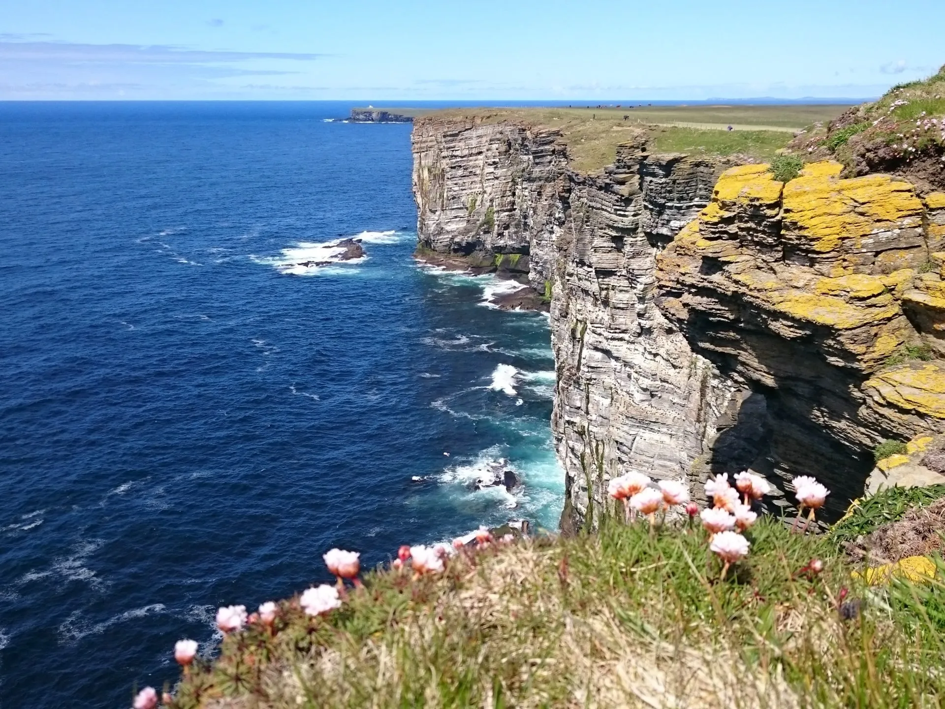 Orkney-cliffs