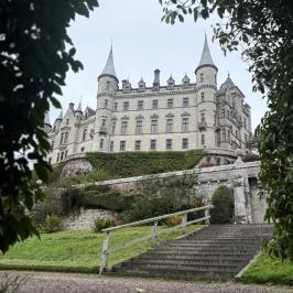 View of a large castle with towers surrounded by greenery, seen through a leafy archway.