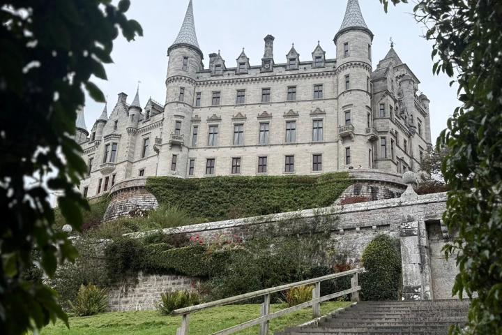 View of a large castle with towers surrounded by greenery, seen through a leafy archway.
