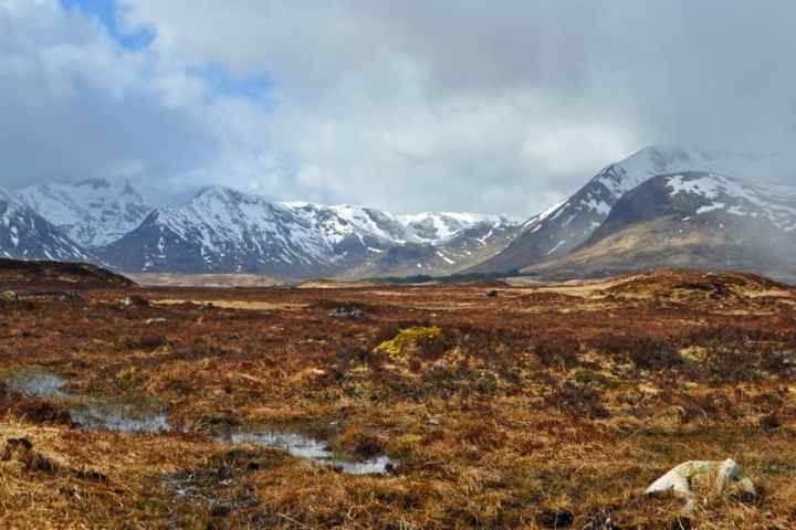 a field with a mountain in the background