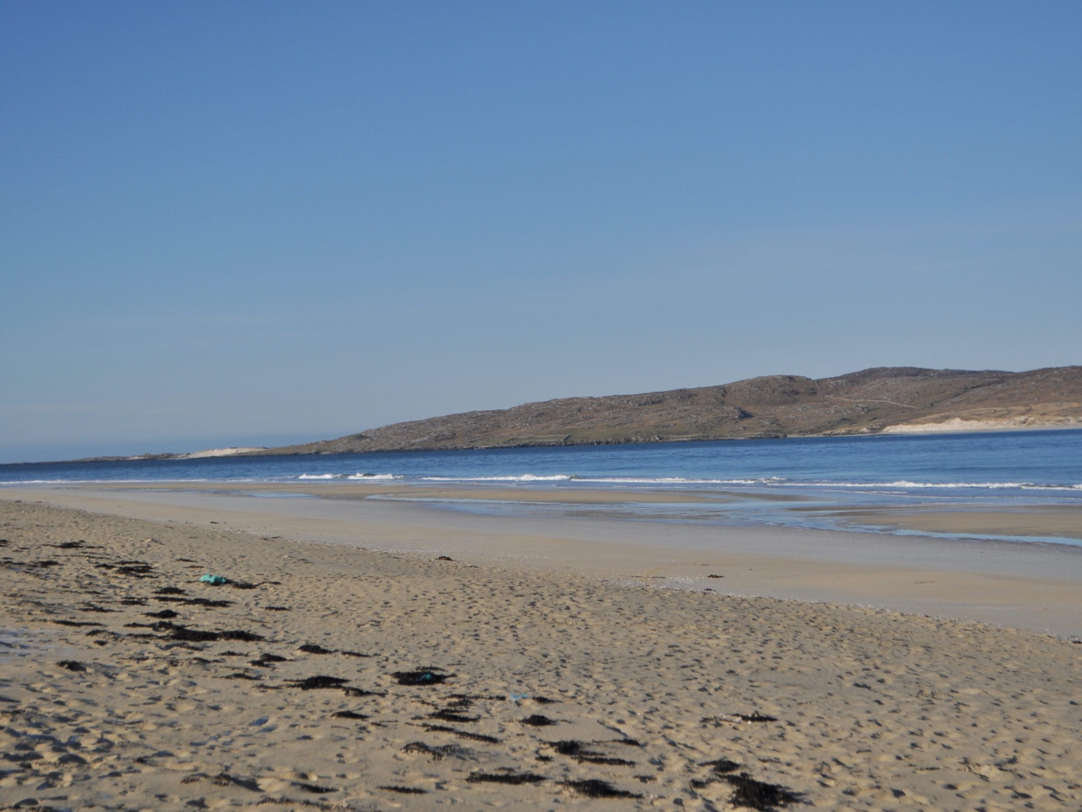 a group of people on a beach