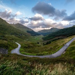 a path with trees on the side of a mountain