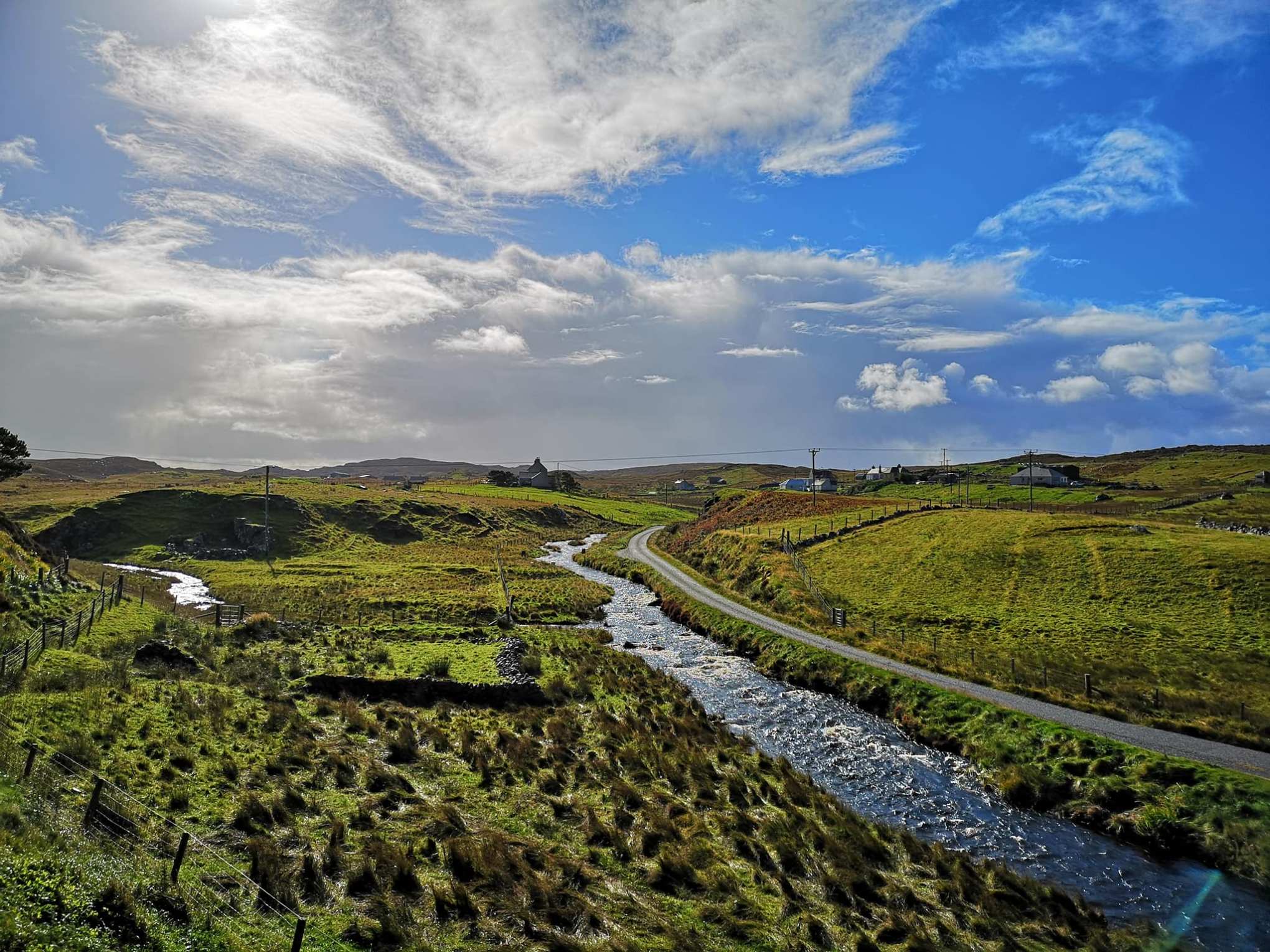 a large green field with trees in the background