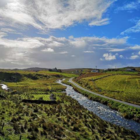 a large green field with trees in the background