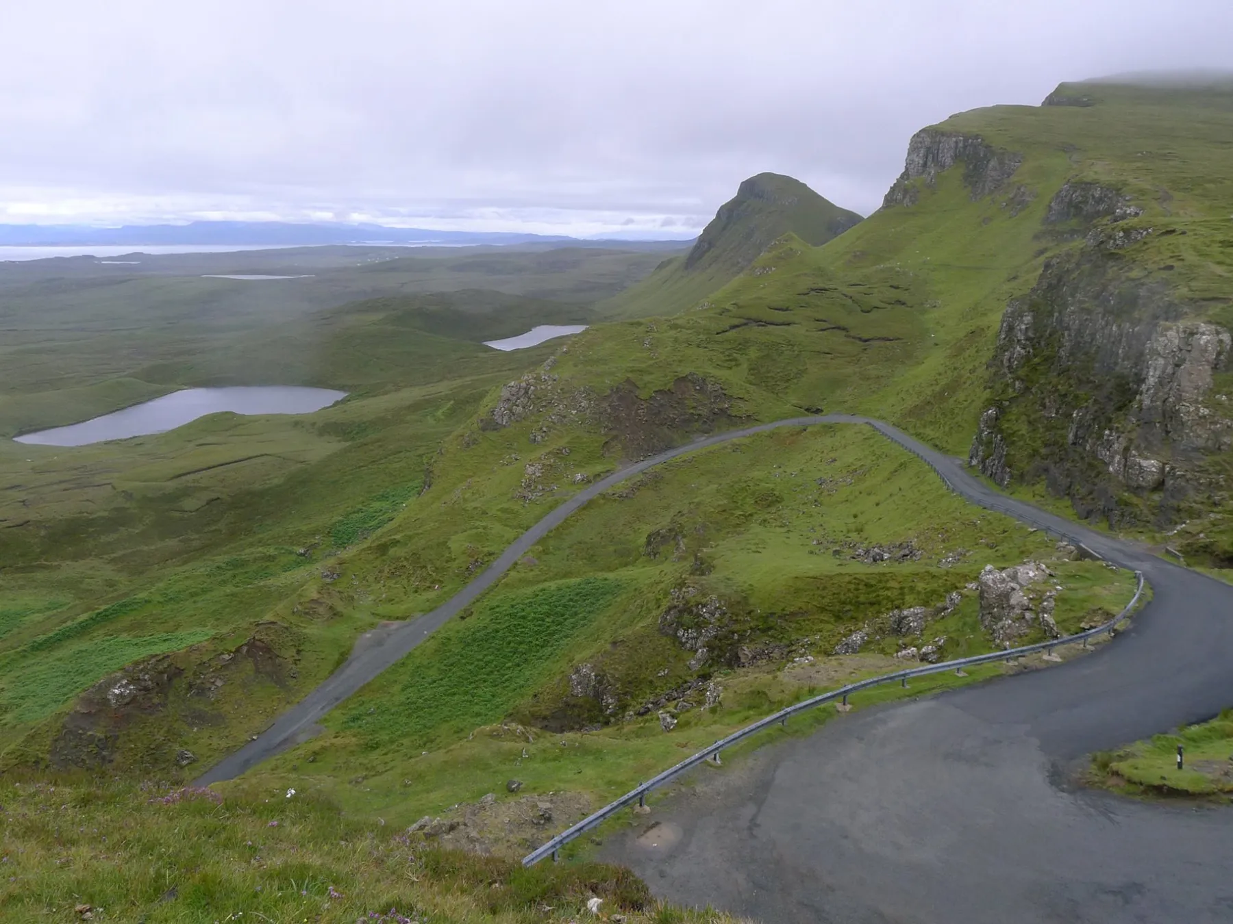 a herd of cattle standing on top of a lush green hillside