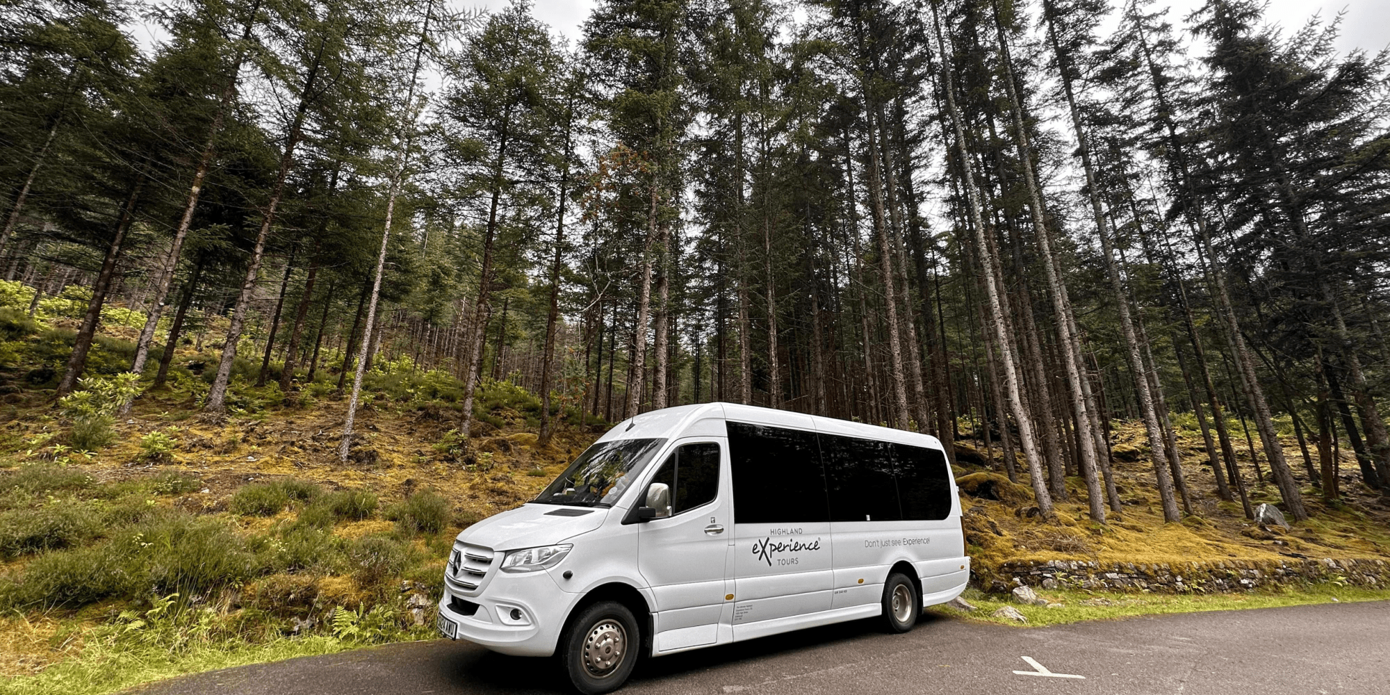 White van parked on a forest road with tall trees in the background.